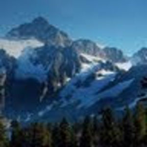 Meet your Posher, Kacey